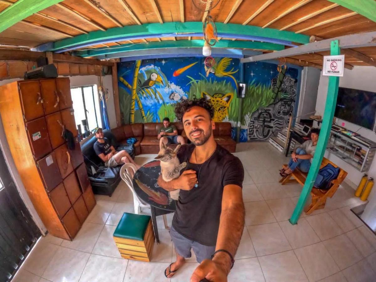 Hostal Musica Y Arte San Agustín Dış mekan fotoğraf