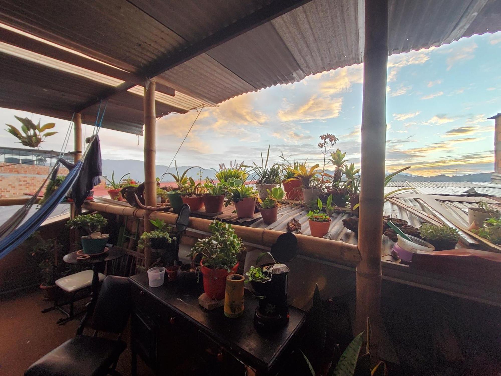 Hostal Musica Y Arte San Agustín Dış mekan fotoğraf