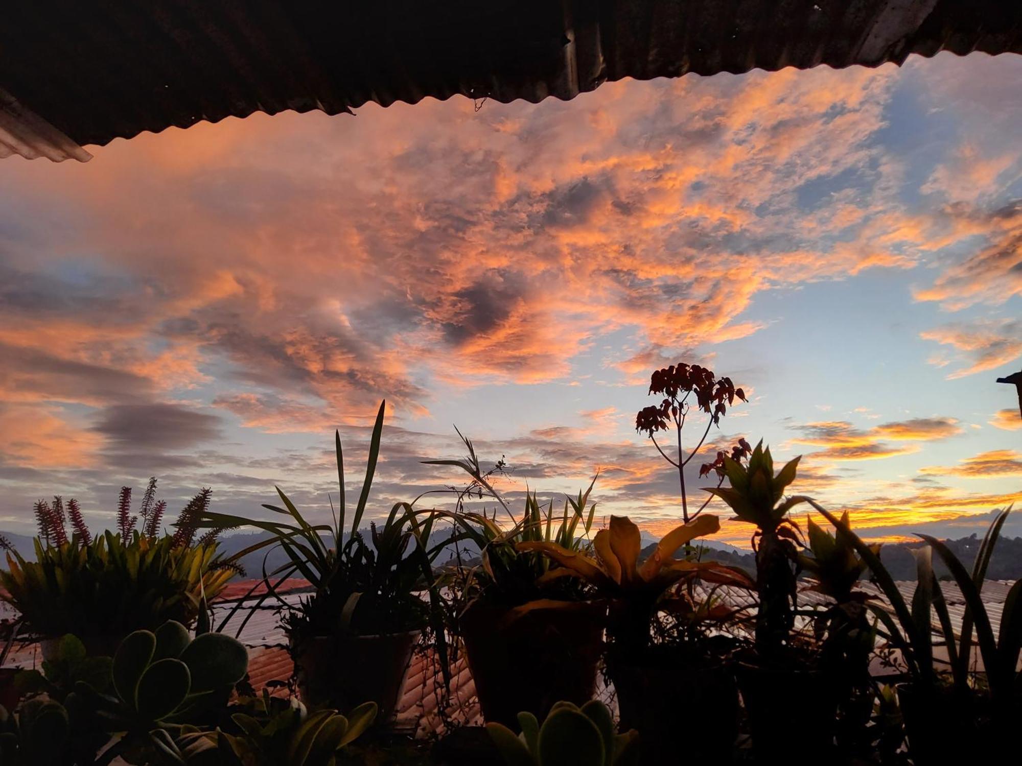 Hostal Musica Y Arte San Agustín Dış mekan fotoğraf