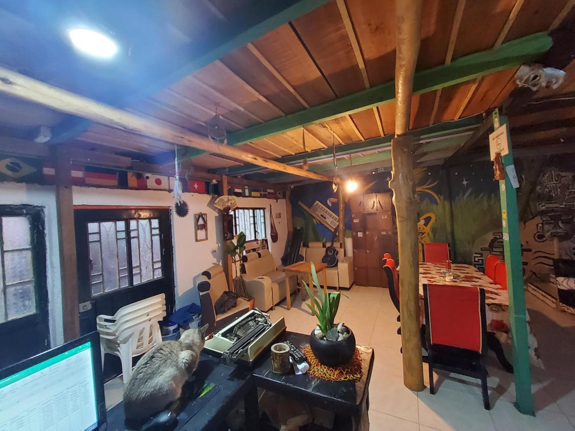 Hostal Musica Y Arte San Agustín Dış mekan fotoğraf