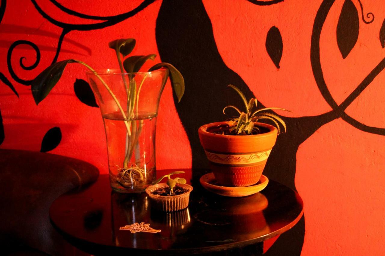 Hostal Musica Y Arte San Agustín Dış mekan fotoğraf